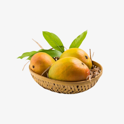 গোপালভোগ আম — গ্রীষ্মের প্রথম মিষ্টি আনন্দ